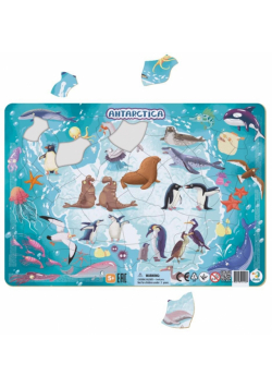 Puzzle ramkowe 53 Antarktyda