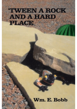 'tween a Rock and a Hard Place