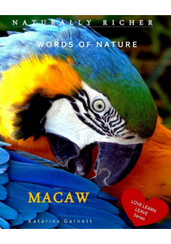Macaw