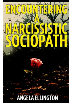 Encountering a Narcissistic Sociopath