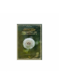 Prowincja pełna marzeń (Audiobook)