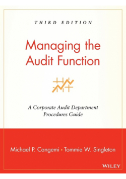 Audit Function 3e