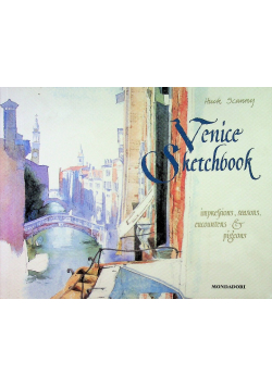Venice Sketchbook impressions seasons encounters and pigeons