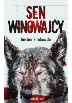 Sen winowajcy