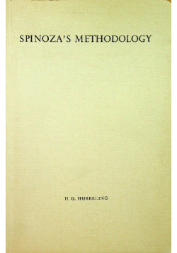 Spinozas methodology