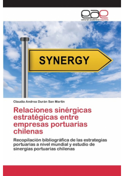 Relaciones sinérgicas estratégicas entre empresas portuarias chilenas