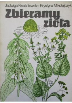 Zbieramy zioła