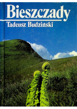 Bieszczady