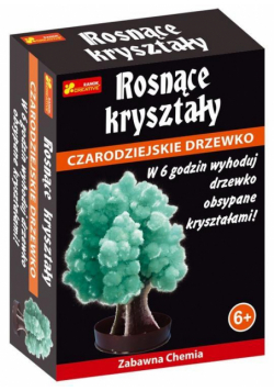 Rosnące kryształy. Czarodziejskie drzewko zielone