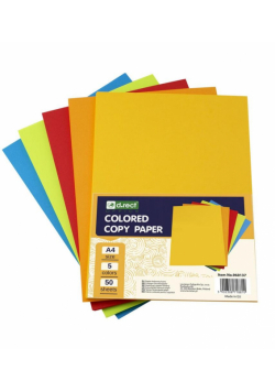Papier A4 ksero kolorowy mix kolorów D.RECT