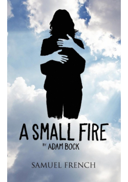A Small Fire