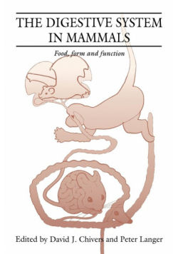 The Digestive System in Mammals