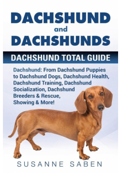 Dachshund And Dachshunds