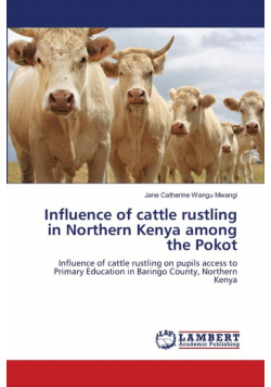 Influence of cattle rustling in Northern Kenya among the Pokot