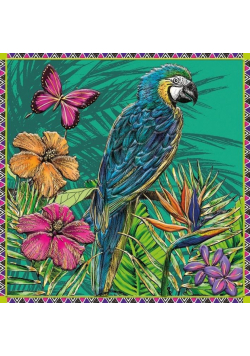 Karnet kwadrat z kopertą Parrot & Butterfly