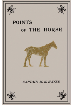 Points of the Horse