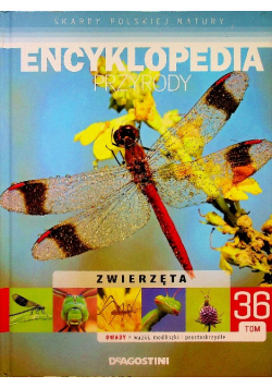 Encyklopedia przyrody Tom 36 Owady ważki modliszki i prostoskrzydłe