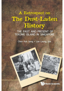 Retrospect On The Dust-Laden History, A