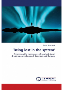 'Being lost in the system'