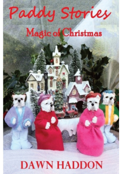 Paddy Stories - Magic of Christmas