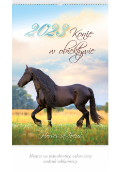 Kalendarz 2023 RW 13 Konie w obiektywie