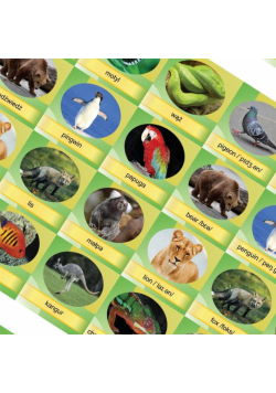 Memory Game - Animals (folia) REGIPIO