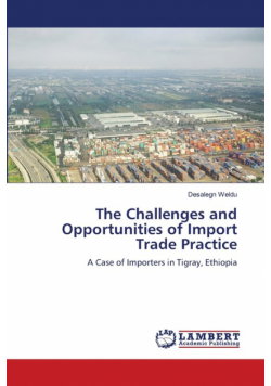 The Challenges and Opportunities of Import Trade Practice