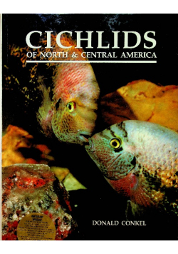 Cichlids of North   Central America