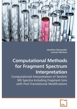 Computational Methods for Fragment Spectrum Interpretation