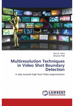 Multiresolution Techniques in Video Shot Boundary Detection