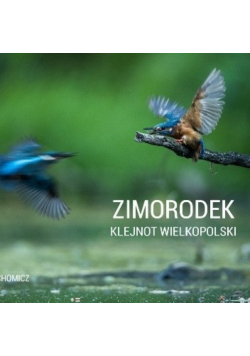 Zimorodek klejnot polski