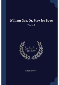 William Gay, Or, Play for Boys; Volume 3