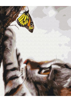Malowanie po numerach - Słodki kociak 40x50cm
