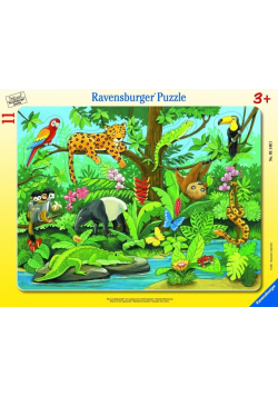 Puzzle 11 Co tu pasuje? Zwierzęta lasu deszczowego