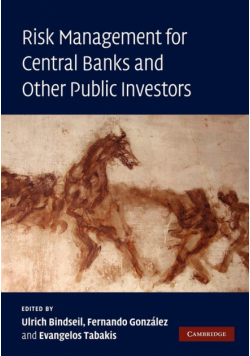 Risk Management for Central Banks and Other Public Investors
