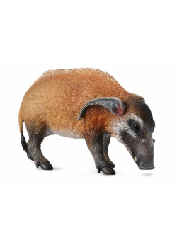 Wieprz czerwony L
