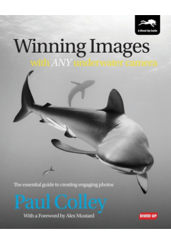 Winning Images with Any Underwater Camera