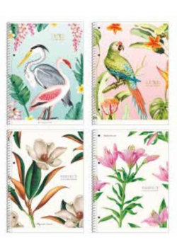 Kołozeszyt A4/80K linia Nature motifs ASTRA