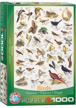 Puzzle 1000 Ptaki