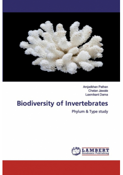 Biodiversity of Invertebrates