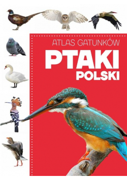 Atlas gatunków Ptaki Polski