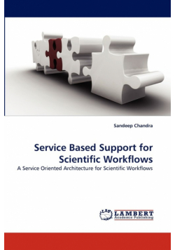 Service Based Support for Scientific Workflows