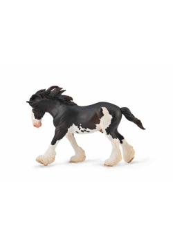 Ogier Clydesdale maści Black Sambino