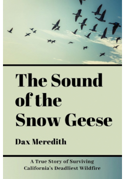 The Sound of the Snow Geese