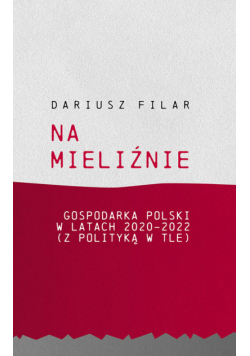Na mieliźnie. Gospodarka Polski w latach 2020-2022 (z polityką w tle)
