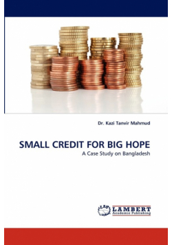 Small Credit for Big Hope
