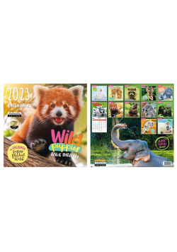 Kalendarz 2023 ścienny Classic Wild Puppies