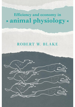 Efficiency and Economy in Animal Physiology