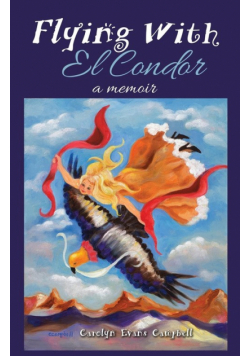Flying with El Condor
