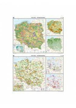 Mapa - Polska. Gospodarka - Przemysł i usługi NE